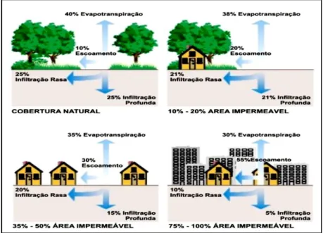 Figura 2 – Impactos da Urbanização. 