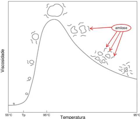 Figura  2  –  Representação  da  curva  de  gelatinização  do  grânulo  de  amido ̶ viscosidade vs