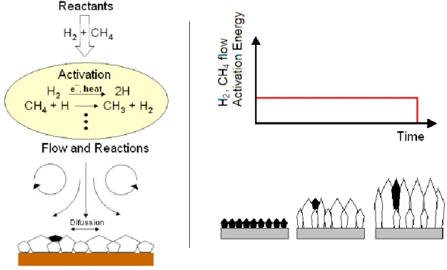 Figure 8 - Reactions taking place inside the CVD chamber during diamond growth 