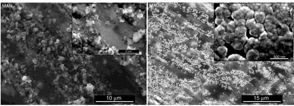 Figure 31 - SEM images of diamond deposition onto steel with titanium  interlayer using conventional CVD (left) and TMCVD (right) 