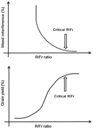 Figure 2 - Proposed models for the identification of the R/Fr ratio threshold that indicates the beginning of weed interference (a) and the effects on grain yield losses (b).
