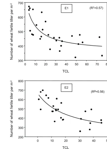 Figure 1 - Relationship between wheat yields and weed density based on the total competitive load (TLC) on two sites in Iran: Mashhad (E1):  Y=872.1824 (1- ((3.2427*TCL) / 100(1+