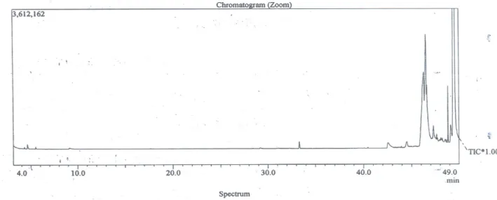 Figure 3 - GC-MS Chromatogram of chloroform extracts from D. metel seeds.