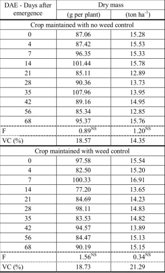 Table 2 - Dry mass of the sweet sorghum hybrid CVSW 80007 over increasing periods of weed control and no weed control, at 68 DAE for the summer crop