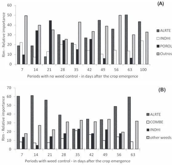 Figure 3 - Relative importance index (RIm) of the primary weed populations in sweet sorghum hybrid CVSW 80007 grown during fall, during periods with no weed control (A) and with weed control (B).