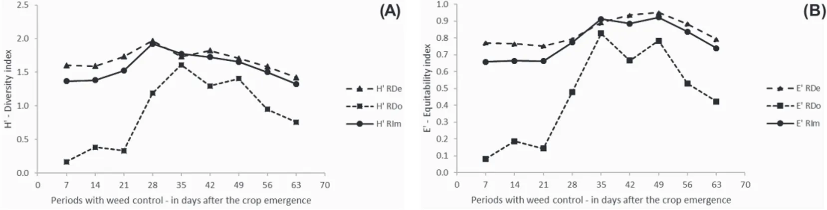 Figure 5 - Diversity (H’) (A) and equitability (E’) (B) indexes of the weed community infesting sweet sorghum hybrid CVSW 80007, grown during the fall over the increasing periods with weed control.