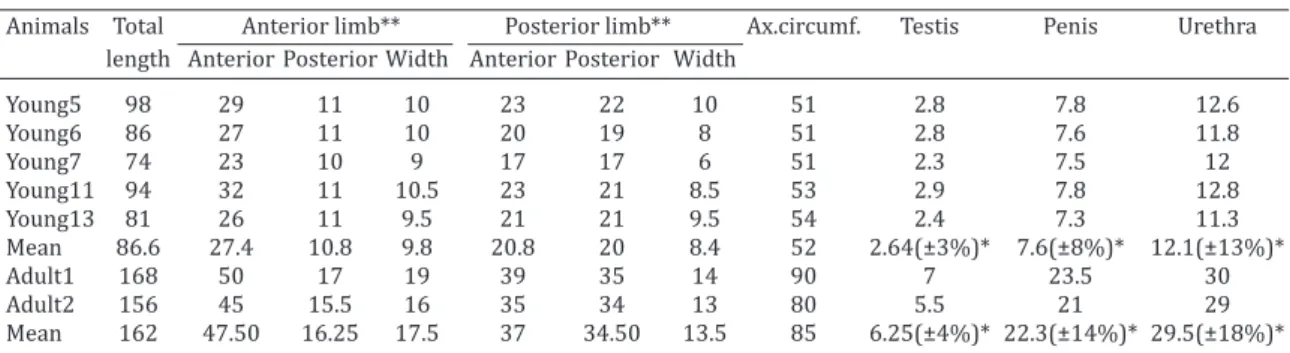 Table 1. Body length of young and adult animals Arctocephalus australis and the percentage length of  structures to its whole body