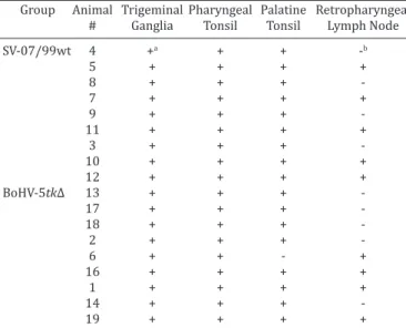 Table 3. Virus shedding in nasal secretions and virus neutralizing antibodies after  dexamethasone (Dx) treatment in lambs inoculated with parental bovine herpesvirus 