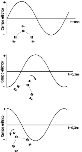 Figura 3.2.2 Representação do alinhamento de uma molécula de água com o  campo elétrico [20]