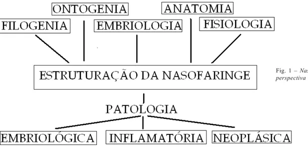 Fig. 1 – Nasofaringe, uma perspectiva multidisciplinar.