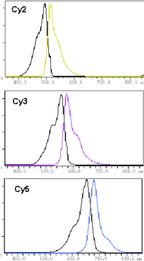 Figura 7. Espectro de excitação e emissão para CyDye DIGE Fluor dyes Cy2, Cy3, e Cy5. 