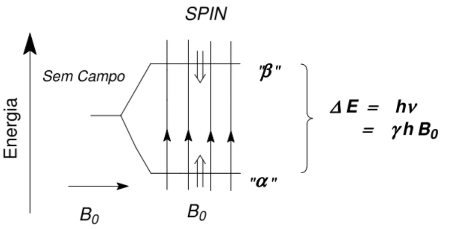 Figura 1.1. Representação dos estados de energia dos núcleos com spin I = ½  2