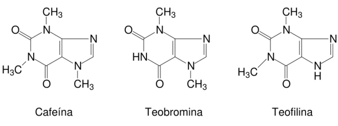 Figura 2.1  Estrutura química das principais metilxantinas encontradas na erva-mate. 