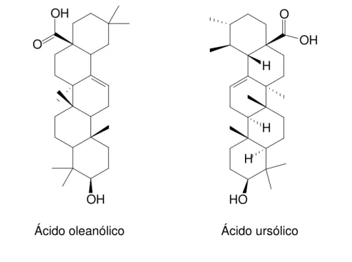 Figura  2.2.  Estrutura  química  das  principais  saponinas  agliconas  encontradas  na  erva-mate