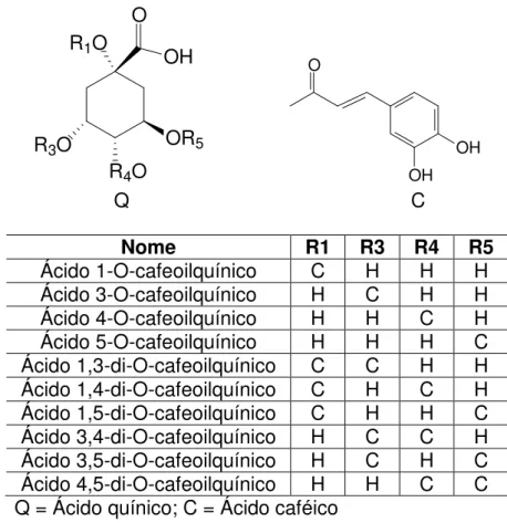 Figura 2.3. Estrutura química dos ácidos cafeoilquínico e dicafeoilquínico, principais  compostos fenólicos encontrados na erva-mate
