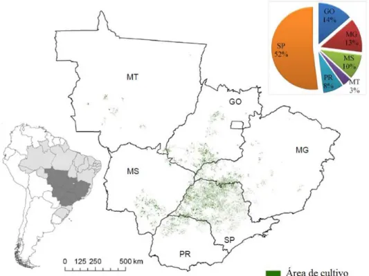 FIGURA  1  -  Áreas  de  cultivo  de  plantações  de  cana-de-açúcar  e  os  estados  produtores na safra de 2010/11