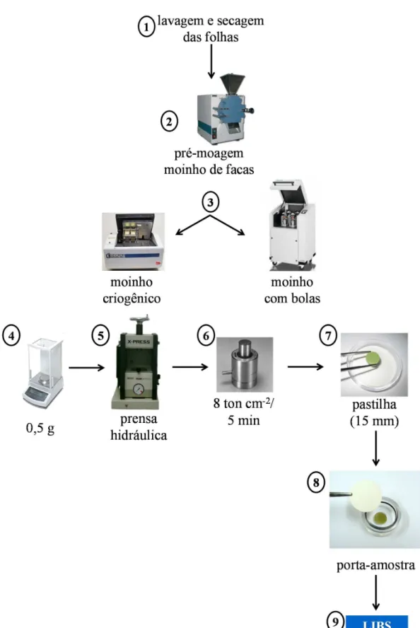 FIGURA  10  -  Ilustração  da  sequência  analítica  para  o preparo de  pastilhas  de  materiais vegetais até a determinação dos nutrientes por LIBS