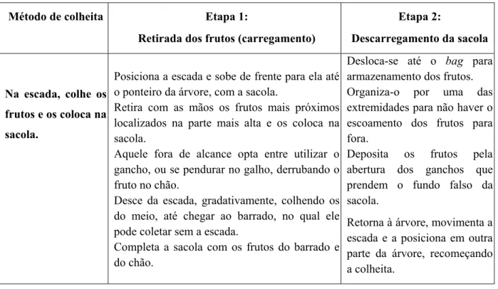 Tabela 2. Definição das etapas de retirada dos frutos (carregamento) e descarregamento da sacola no principal  método de colheita encontrado nos pomares