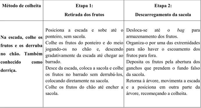 Tabela 3. Definição das etapas de retirada dos frutos e descarregamento da sacola no método derriça