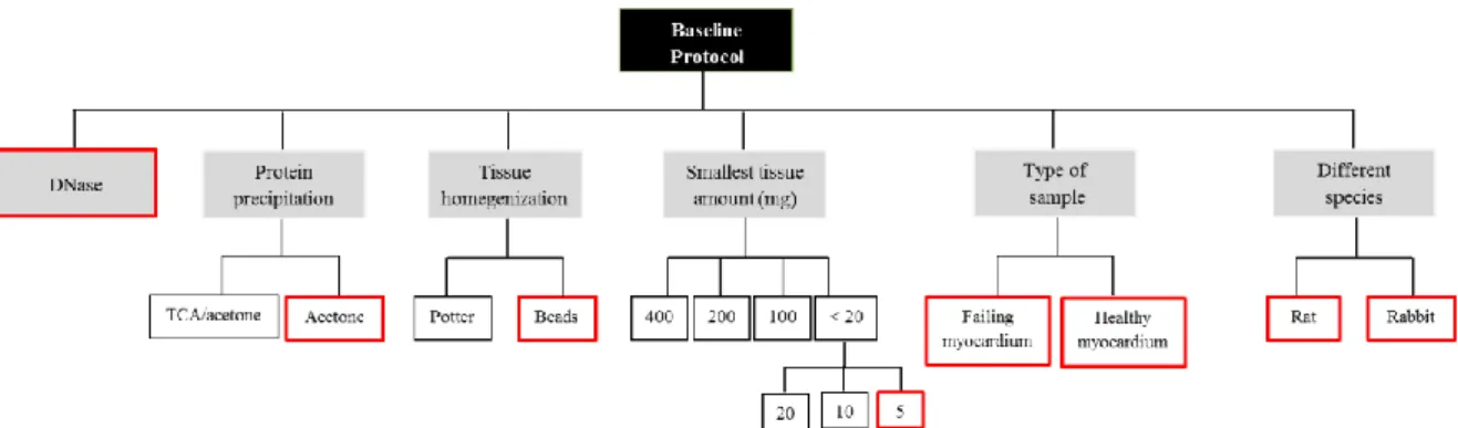 Figure  13:  Overview  of  all  experimental  conditions  tested  over  to  baseline  protocol