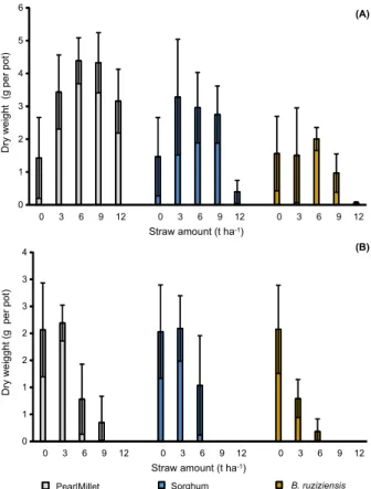 Figure 2 - Dry mass of A. viridis (A) and P. oleracea (B) aerial parts at 24 DAS according to the type and amount of straw used as soil coverage.