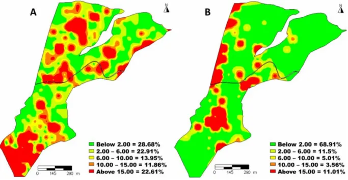 Figure 2 - Thematic maps of the spatial distribution of weeds according to their botanical family in no-tillage area cultivated with soybeans, in which: A) Magnoliopsida and B) Liliopsida