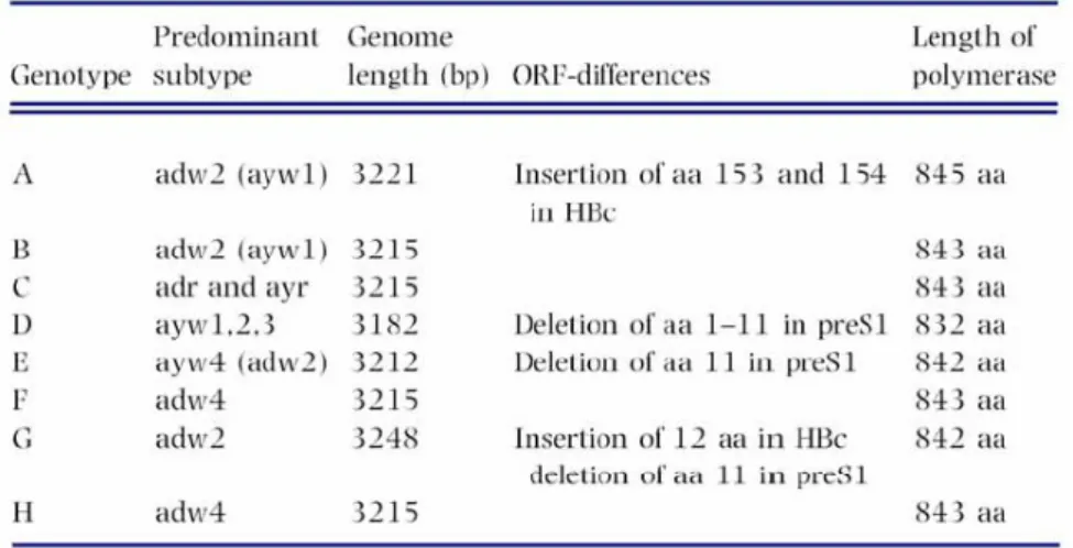 Tabela 1 :  Distribuição dos subtipos (serotipos) nos genótipos do VHB  (adaptada de Kramvis et al., 2005)