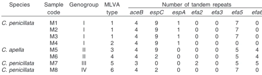 Table 3. Multilocus variable number of tandem repeat analysis polymorphism among the Enterococcus faecalis strains isolated from Callithrix penicillata and Cebus apella