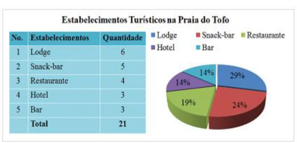 Gráfico 3: Estabelecimentos Turísticos na Praia do Tofo ano de 2013 