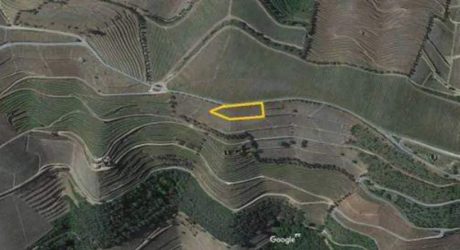 Figura 26 - Fotografia aérea da parcela em estudo. A área onde decorreu o ensaio encontra-se  delimitada pela linha amarela