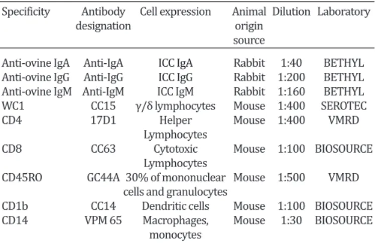 Table 1. Characteristics of the antibodies used in  immunofluorescence and immunohistochemistry tests  Specificity  Antibody  Cell expression  Animal  Dilution  Laboratory