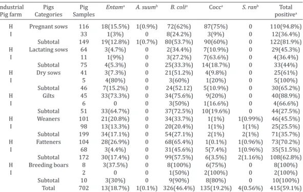 Table 3. Rate of trophozoites of  Balantidium coli  found in  fecal samples with solid, semi-solid and diarrheic  consistencies in pig farms of different cities in the State of 