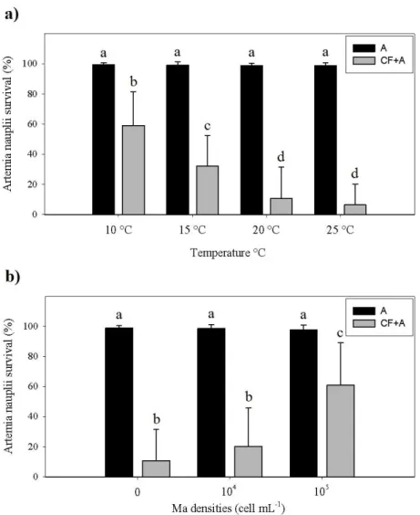 Fig.  3.  Artemia  nauplii  survival  concerning  temperature  and  food  availability  test  (A  –  artemia  nauplii control; CF+A – artemia nauplii exposed to adult female copepods); a) when subjected to  four different temperature conditions (10 °C, 15 