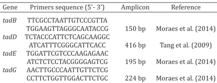Table 1. Sequences of  tad  gene oligonucleotides and the  respective amplicon sizes