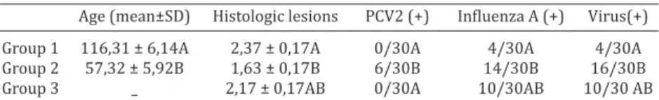 Table 1. Average age (mean ± SD) of the animals, immunohistochemistry  results for PCV2 and Influenza A, and intensity of microscopic lesions in  the PCR-positive samples for Mycoplasma hyopneumoniae (group 1), for 