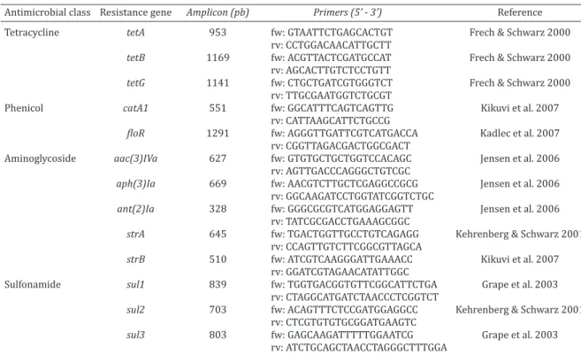 Table 2. Resistance frequency in  Escherichia coli  multi-resistant strains from pig carcasses sampled at three 