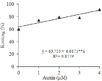 Figure 1. In vitro rooting of N. concentrica at 30 days, according  to auxin concentration (São Mateus, ES, 2011).