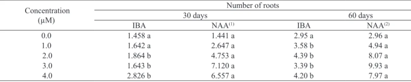 Table 3. Largest root length of N. concentrica  in vitro shoots,  according to synthetic auxin types and concentrations  (São Mateus, ES, 2011).