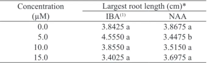 Table 4. Number of roots of ex vitro N. concentric, according  to synthetic auxin types and concentrations, after 40  days on vermiculite (São Mateus, ES, 2011).