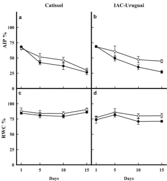 Figure 2 shows the anatomical leaf structures  of both Catissol (Figures 2a and 2c) and IAC-Uruguai 