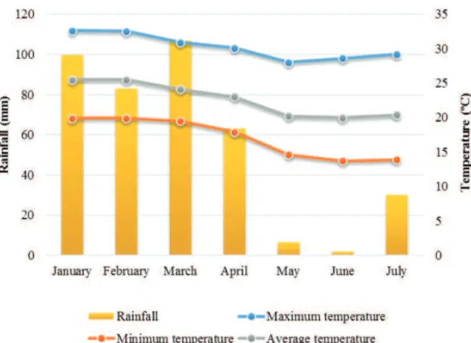 Figure 1. Rainfall, maximum, minimum and average temperature,  during the experimental period, in the 2014 harvest, in  Jaboticabal
