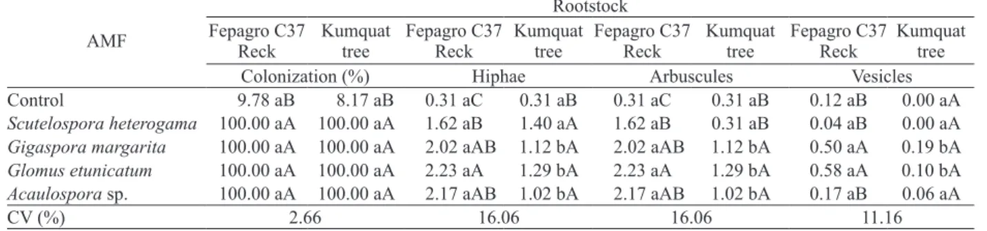 Table 3. Colonization, hyphal density and arbuscule and vesicle quantification in root segments from citrus tree rootstocks submitted  or not to the inoculation with arbuscular mycorrhizal fungi (AMF) species.
