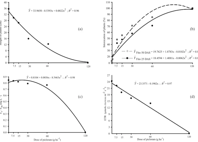 Figure 2. Height (a), intoxication (b) measured at 25 e 50 days after cultivation, maximum quantum yield PSII (c) and relative rate  of electron transport (ETR) (d) of common bean plants cultivated after Urochloa brizanhta on soil treated with different  d