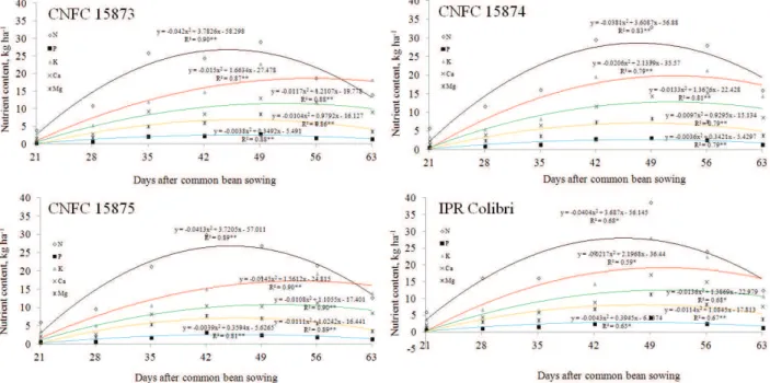 Figure 5. Accumulation of N, P and K in leaves of super early genotypes of common bean, during the 2015/2016 growing season.