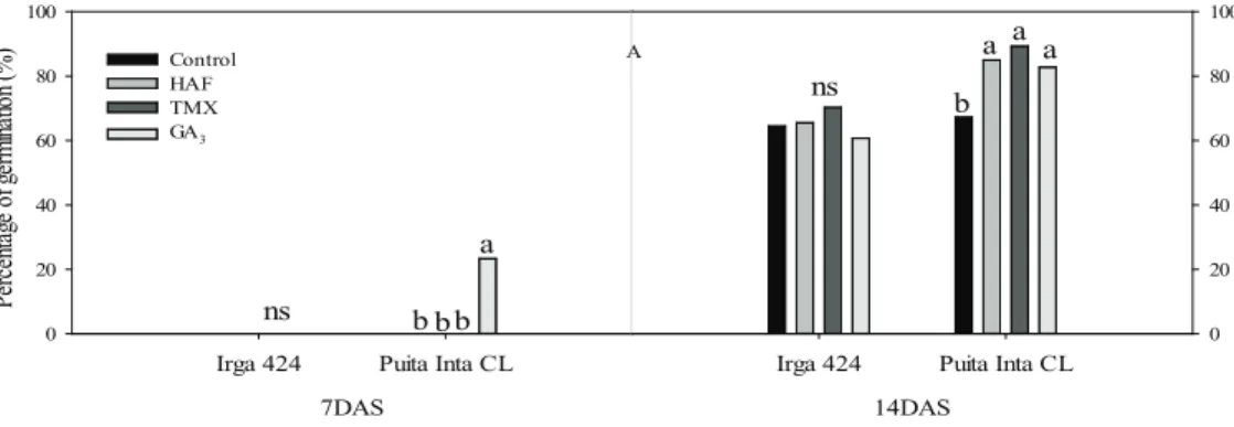 Figure 1. Effect of products, control, phytohormone (Haf), thiamethoxam (TMX) and gibberellic acid (GA 3 ) on germination  percentage (A), shoot length (B) and root length (C) (cm) of two rice cultivars (‘Irga 424’ and ‘Puita Inta CL’), at low  temperature