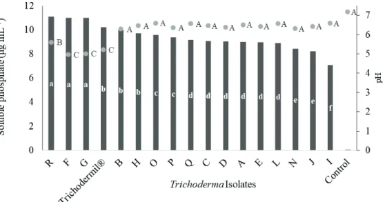 Figure 3. Average of solubilized phosphate concentration (bars) and pH (dots), regarding Trichoderma spp