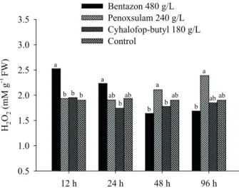 Figure 1. Content of hydrogen peroxide (H 2 O 2 ) of rice plants  in response to the use of bentazon (960 g ha -1 ),  penoxsulam (60 g ha -1 ), cyhalofop-butyl (315 g ha -1 )  and control, at 12, 24, 48 and 96 hours after application  (Capão do Leão, Rio G