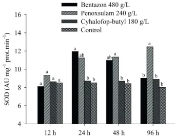 Figure 2. Content of thiobarbituric acid reactive species (TBARS)  of rice plants in response to the use of bentazon  (960 g ha -1 ), penoxsulam (60 g ha -1 ), cyhalofop-butyl  (315 g ha -1 ) and control, at 12, 24, 48 and 96 hours after  application (Capã