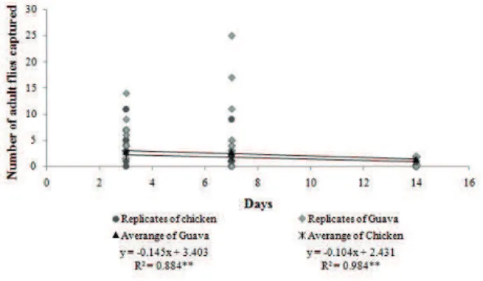 Figure 1. Average number of fruit flies ± SE ( Anastrepha  spp. +  Ceratitis capitata ) captured over seven days in McPhail  traps baited with guava juice or laying hen manure  extract at different concentrations