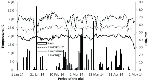 Figure 1. Maximum, minimum and average temperatures (T) and rainfall during the upland rice trial period under no-tillage and  conventional tillage.